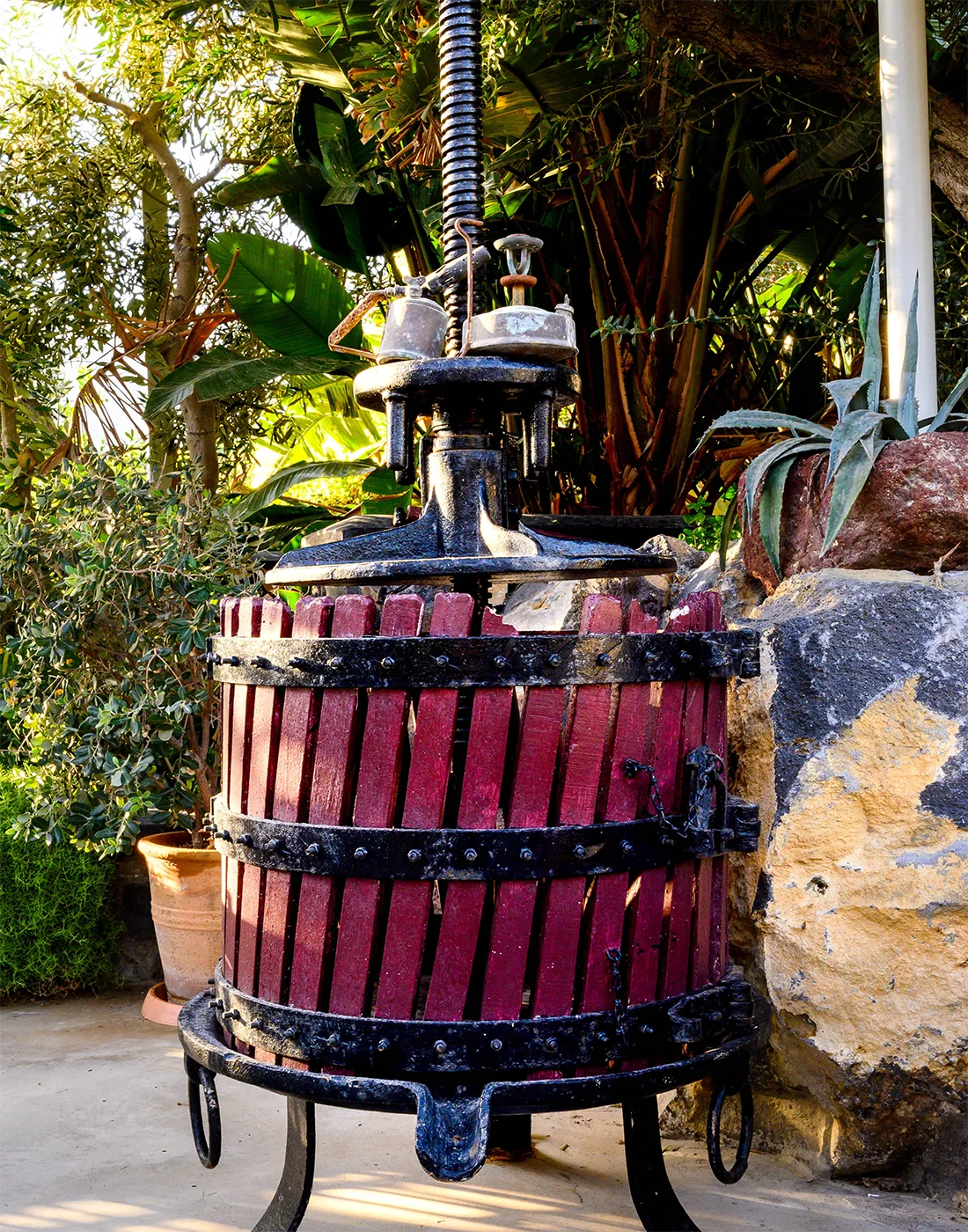 Red ancient basket press in the wine tasting area.