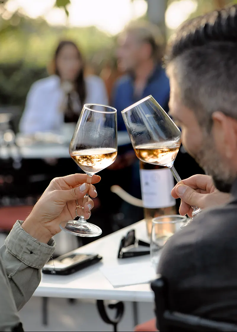 Two of our guests clink their glasses with Terra Nera Rose wine.