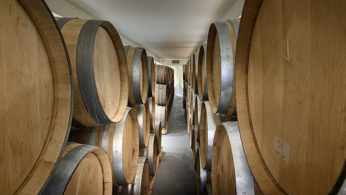 A room full of barrels of Vinsanto.